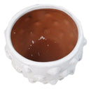Nautical Ocean Marine White Sea Urchin Ribbed Design Terracotta Planter Pot