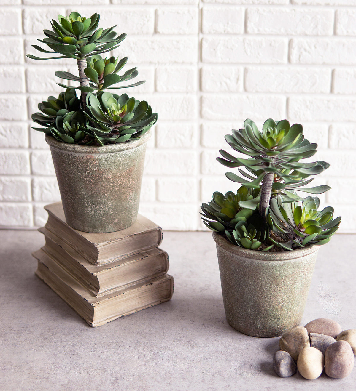 Pack Of 2 Lifelike Artificial Zwartkop Succulent Blooms Botanicas In Earth Pots
