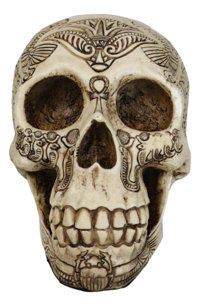 Ebros Bone Ancient Egyptian Gods Paranormal Voodoo Scarab Dung Beetle Skull Statue 8.5" Long Figurine - Ebros Gift