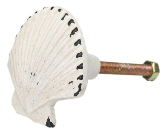 Set Of 6 Distressed White Marine Seashell Clam Brass Cabinet Door Pull Knobs