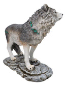 Gray Wolf with Turquoise Rocks Ornaments On The Prowl On Rocky Ground Figurine