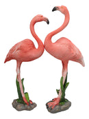 Tropical Paradise Bird Pink Flamingo Pair with Heart Shaped Neck Figurine Set