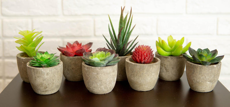 Set of 8 Colorful Realistic Artificial Botanica Flowering Succulents In Pots 6"H