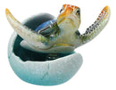 Blue Nautical Marine Sea Turtle Hatchling Emerging Out of Egg Mini Figurine