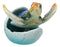 Blue Nautical Marine Sea Turtle Hatchling Emerging Out of Egg Mini Figurine