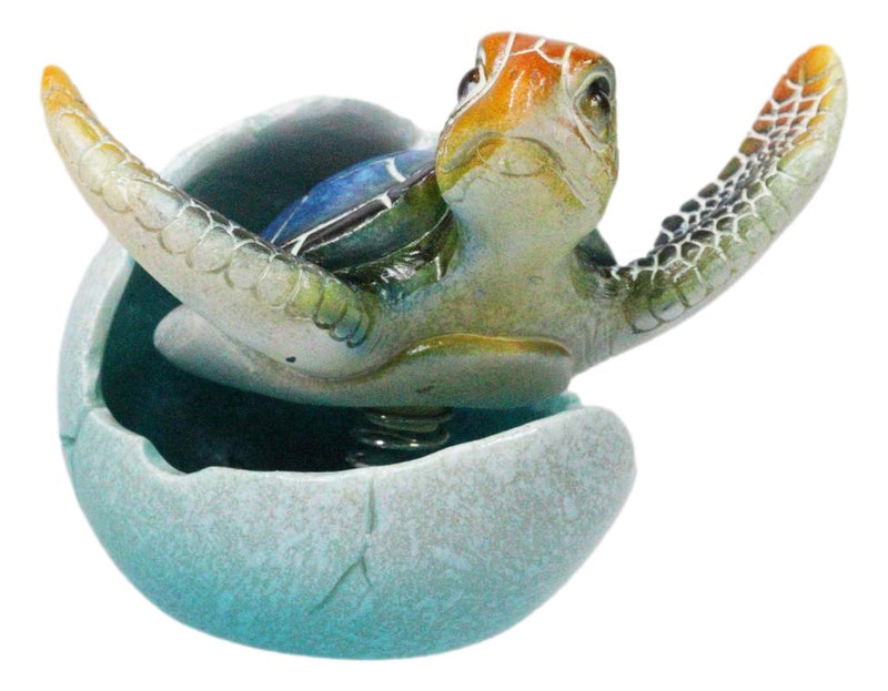 Blue Nautical Marine Sea Turtle Hatchling Emerging Out of Egg Mini Figurine