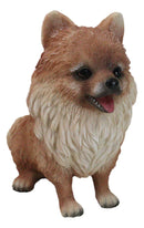Lifelike Adorable Pet Pal Sitting Pomeranian Spitz Puppy Dog Figurine 6"H