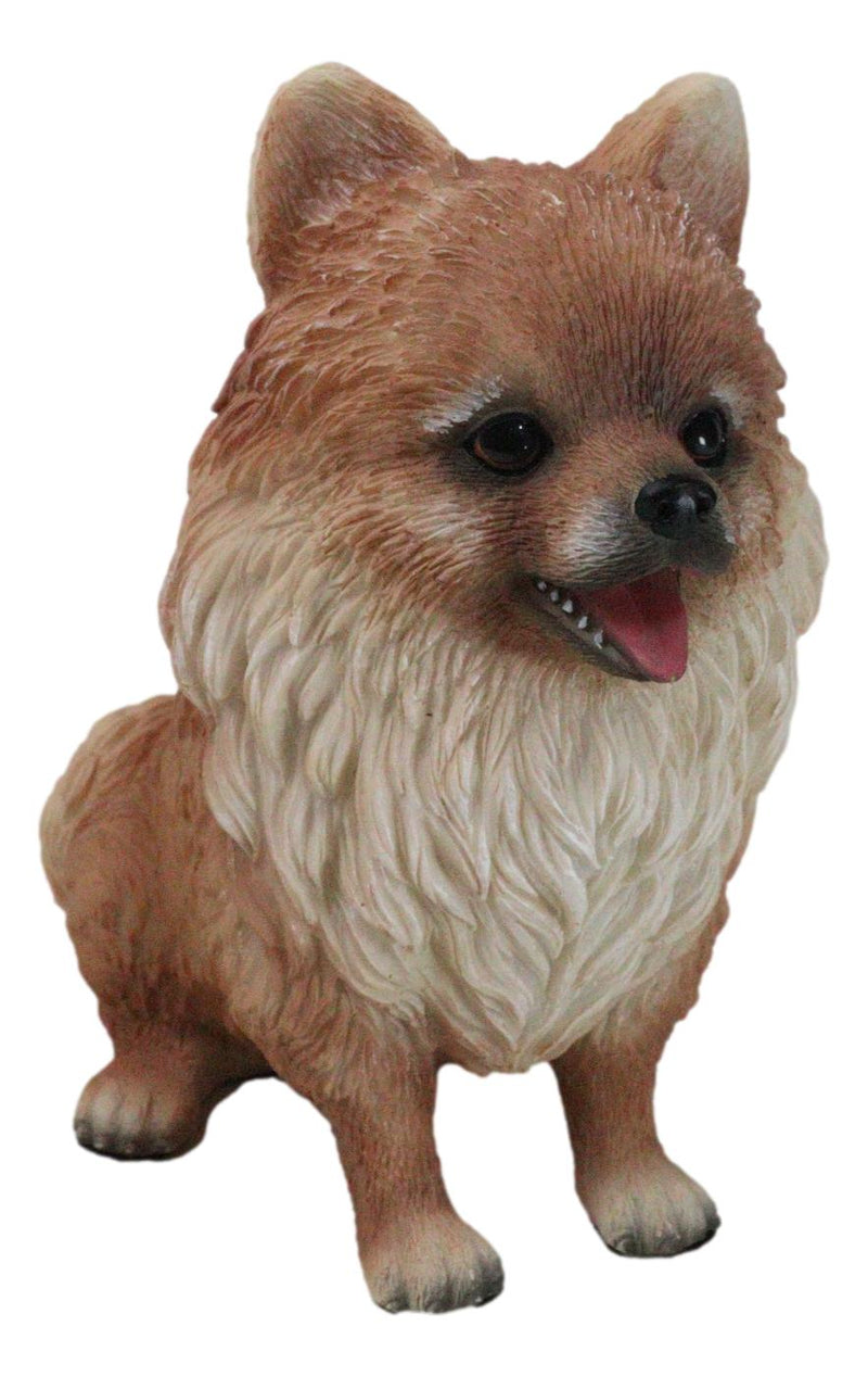 Lifelike Adorable Pet Pal Sitting Pomeranian Spitz Puppy Dog Figurine 6"H