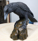 Perching Raven On Rock Statue 5" Tall Gothic Crow Scavenger Bird Decor Figurine