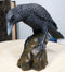 Perching Raven On Rock Statue 5" Tall Gothic Crow Scavenger Bird Decor Figurine