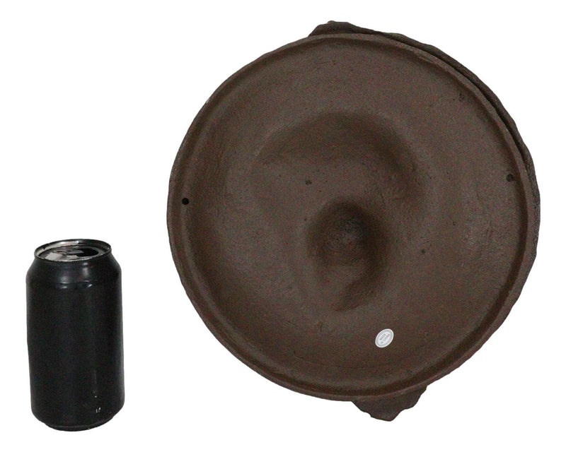 Heavy Cast Iron Rustic Royal Venetian Lion Head Round Decorative Door Knocker