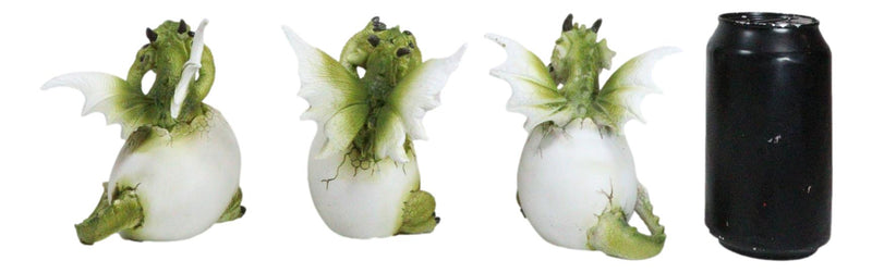 See Hear Speak No Evil Wise Dragons Family In Hatchling Egg Figurines Set Of 3