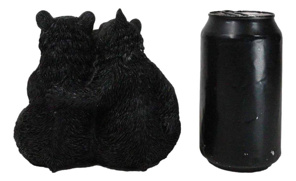 Rustic Forest Whimsical Cuddling Black Bear Couple with Flower Bouquet Figurine
