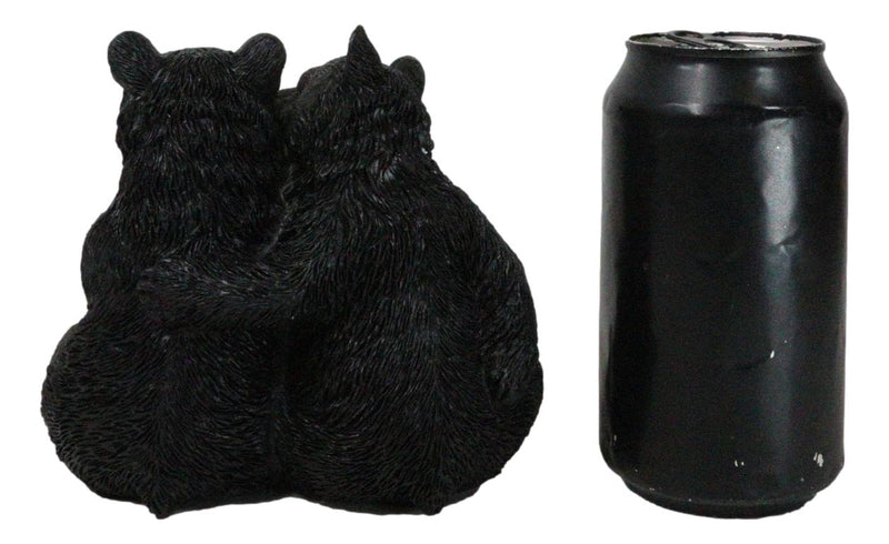 Rustic Forest Whimsical Cuddling Black Bear Couple with Flower Bouquet Figurine