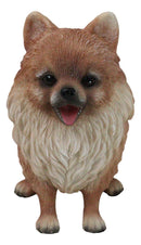 Lifelike Adorable Pet Pal Sitting Pomeranian Spitz Puppy Dog Figurine 6"H