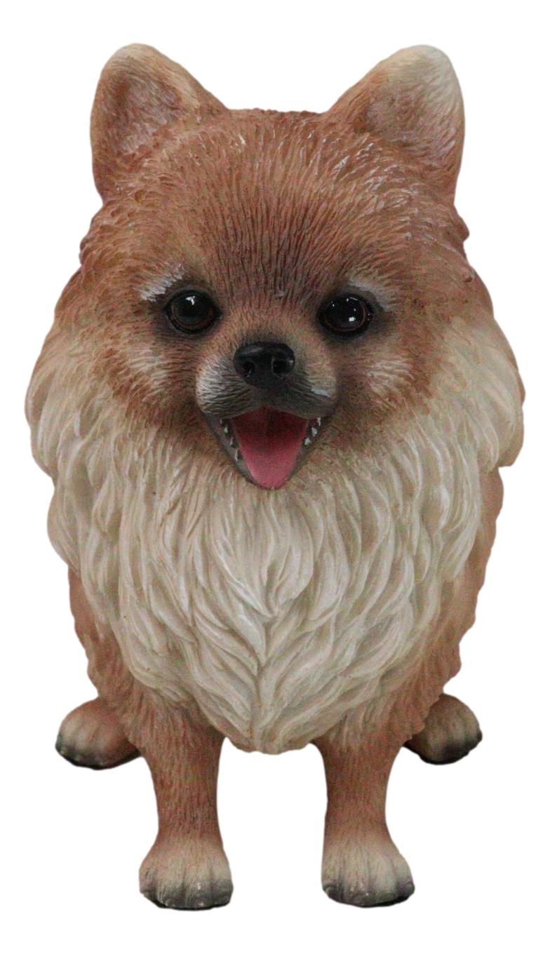 Lifelike Adorable Pet Pal Sitting Pomeranian Spitz Puppy Dog Figurine 6"H