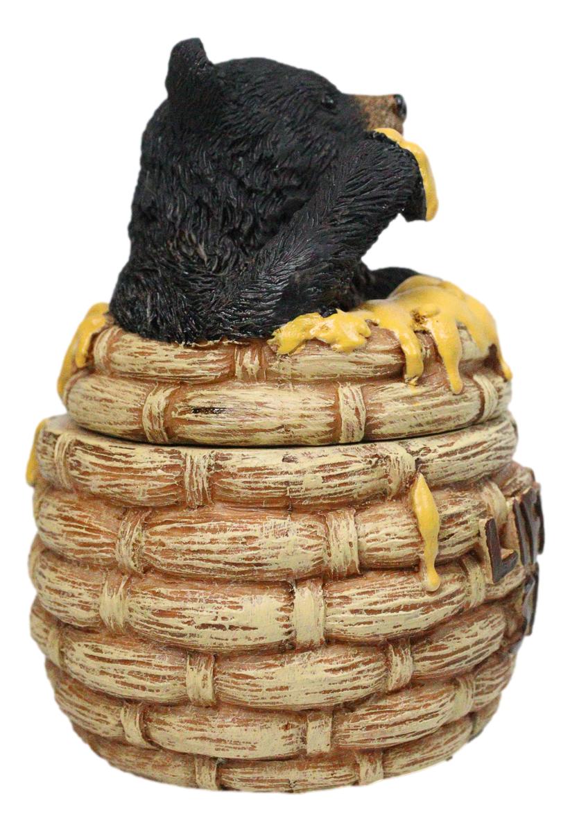 Western Forest Black Honey Pot Bear Life is Sweet Decorative Trinket Jewelry Box