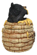 Western Forest Black Honey Pot Bear Life is Sweet Decorative Trinket Jewelry Box
