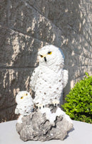Snowy Owl Mother and Owlet Figurine on Snow-Covered Rock Nature Wildlife Bird
