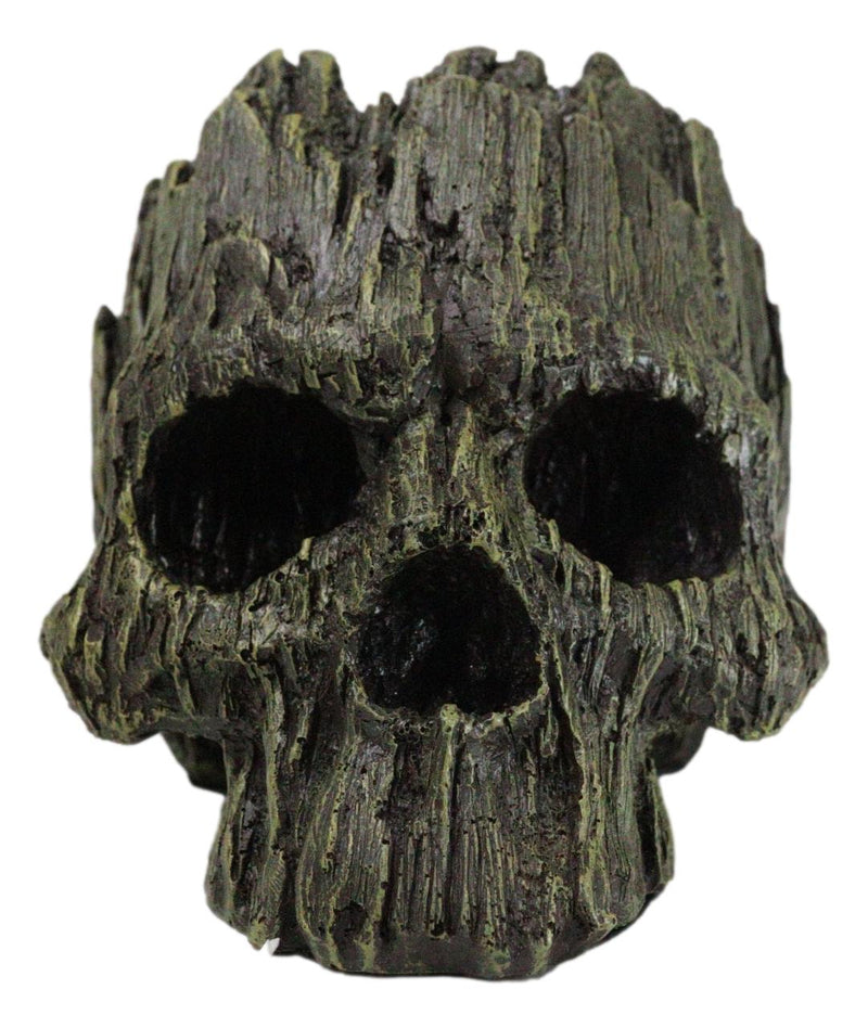 Mythical Greenman Tree Ent Skull Resin Bowl Garden Planter Figurine 7"Long