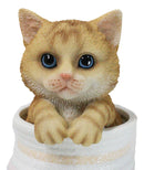 Lifelike Feline Kitty Orange Tabby Cat Blue Eyes In Pastel Artsy Pot Figurine