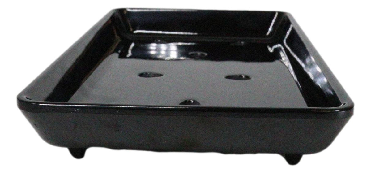 Pack Of 12 White Neta Zara Sushi Case Sashimi Plates With Drip Holes 8" By 3.75" - Ebros Gift