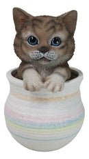Lifelike Feline Kitty Brown Tabby Cat Blue Eyes In Pastel Artsy Pot Figurine
