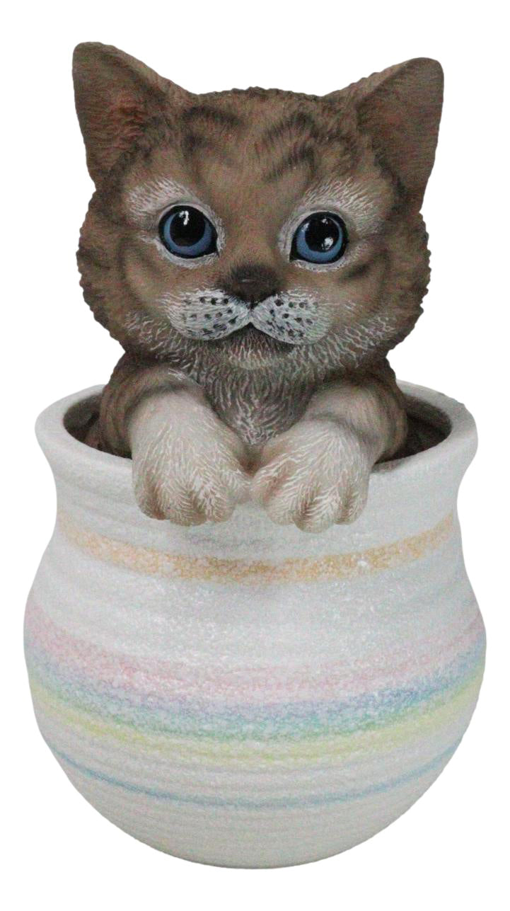 Lifelike Feline Kitty Brown Tabby Cat Blue Eyes In Pastel Artsy Pot Figurine