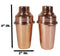 Transitional Modern Chic Style Stainless Steel Copper Finish Salt Pepper Shakers