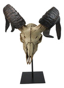 Large Alien Mutated Quad Horns Ram Skull Head Sculpture On Museum Stand 16.25"H
