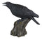 Ebros Large 14" Long Gothic Raven Crow Perching On Tree Stump Statue Figurine