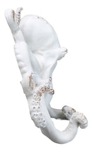 Nautical Marine Antique White Giant Octopus Multi Point Tentacles Wall Hooks