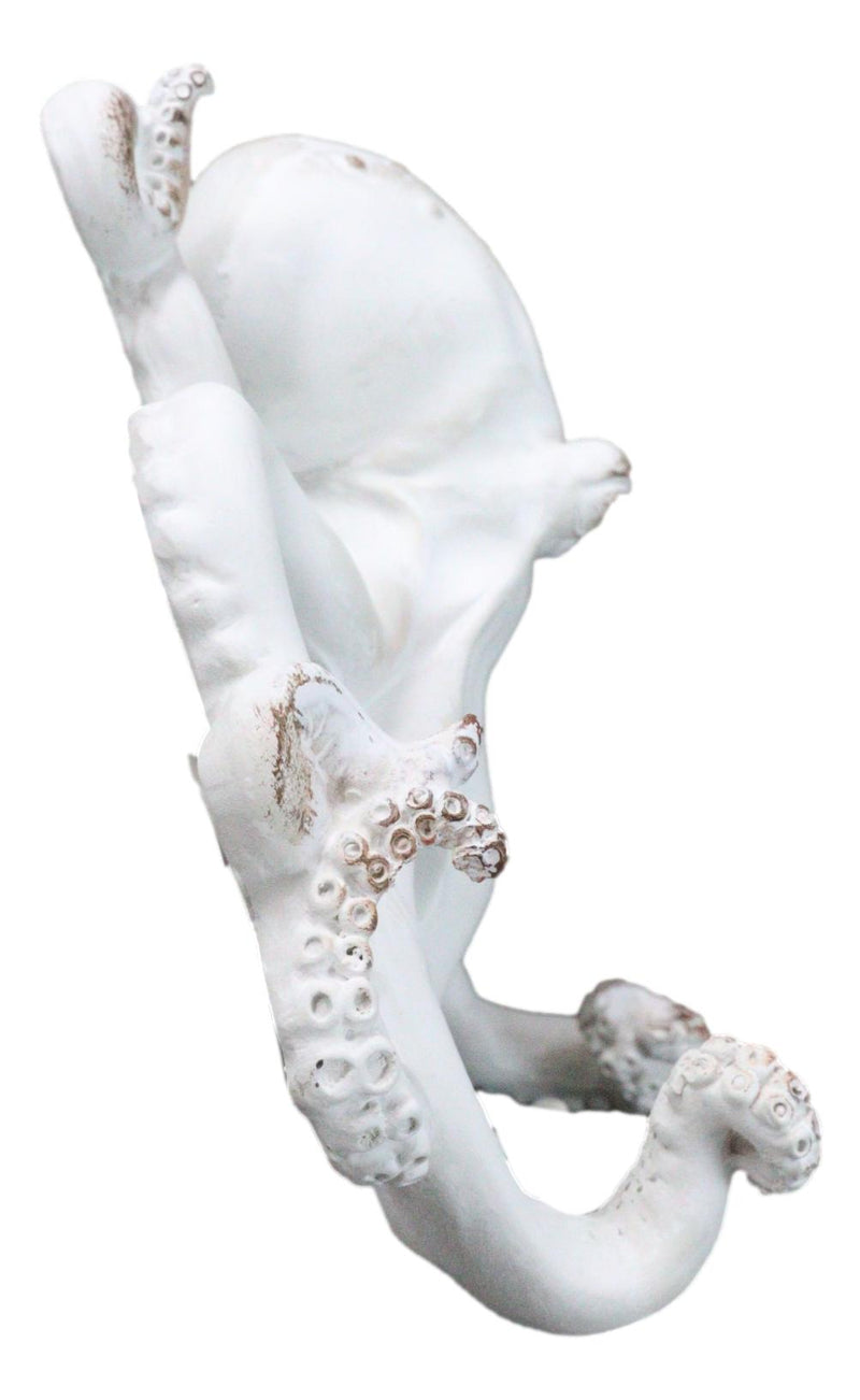 Nautical Marine Antique White Giant Octopus Multi Point Tentacles Wall Hooks