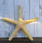Nautical Marine Ocean Coral Yellow Sea Star Shell Starfish Wall Plaque Sculpture