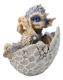 Adorable Blue Baby Dragon Hatchling Cracking Out of Egg Shell Figurine 4"H