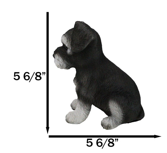 Adorable Black and Silver Miniature Schnauzer Puppy Dog Home Decor Figurine - Ebros Gift