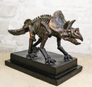 Faux Taxidermy Triceratops Dinosaur Fossil Figurine On Museum Display Base Stand