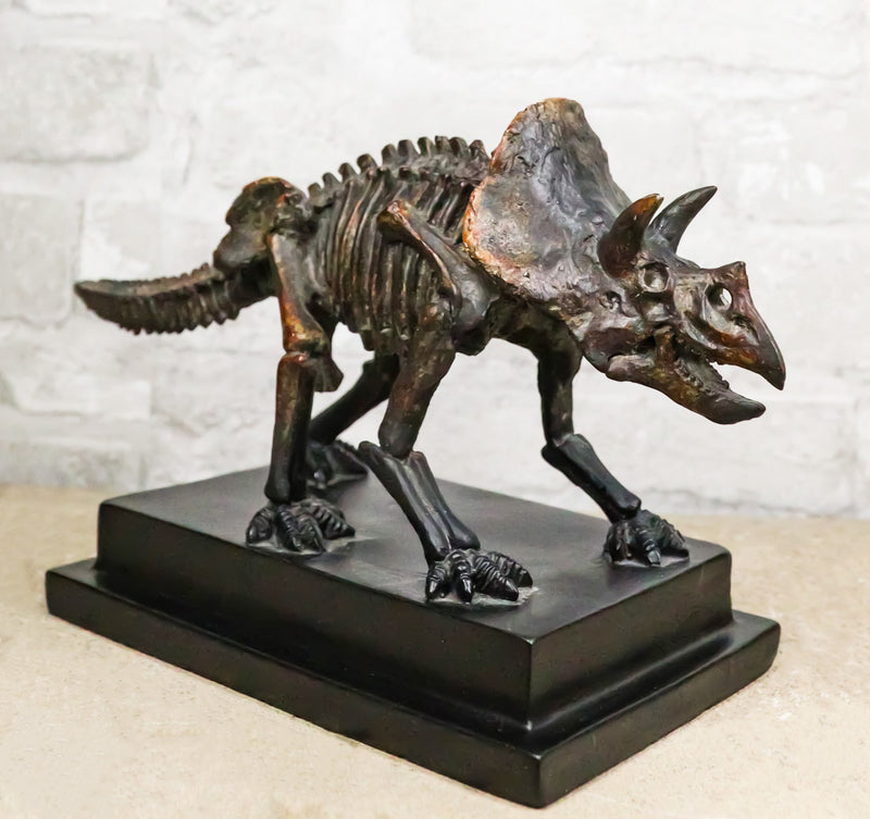 Faux Taxidermy Triceratops Dinosaur Fossil Figurine On Museum Display Base Stand