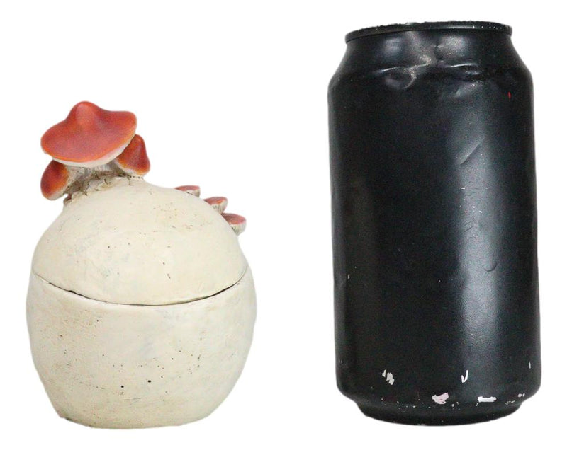 Wicca Gothic Toadstool Mushrooms And Fungi Skull Decorative Trinket Box Figurine