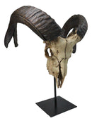 Large Alien Mutated Quad Horns Ram Skull Head Sculpture On Museum Stand 16.25"H