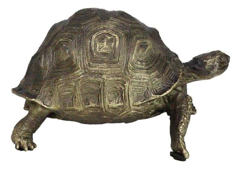 Marine Reptile Lifelike Galapagos Tortoise Taxidermy Replica Figurine 8"L
