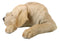 Large Realistic Sleeping Yellow Labrador Retriever Statue 21"H Golden Retriever