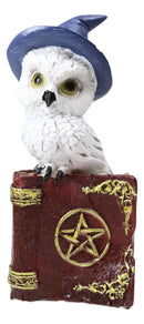 Pack Of 2 Witchcraft Spell Witch Snow Owls On Pentagram Spellbooks Figurine