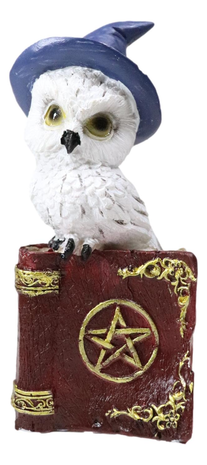 Pack Of 2 Witchcraft Spell Witch Snow Owls On Pentagram Spellbooks Figurine