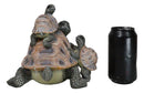 Nautical Marine Turtle Tortoise Mother Piggybacking Hatchlings Family Figurine