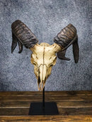 Large Alien Mutated Quad Horns Ram Skull Head Sculpture On Museum Stand 16.25"H