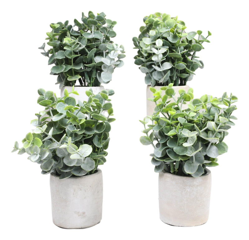 Set of 4 Realistic Artificial Botanica Boxwood Sage Bush Plant in Concrete Pots