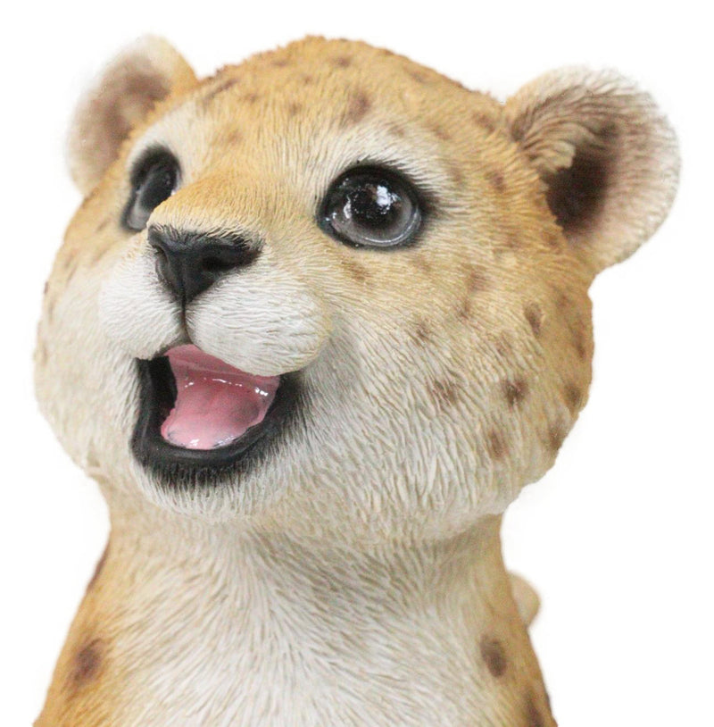 Whimsical Animal Kingdom Leopard Cub Seated With Big Smile Figurine