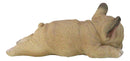 Realistic Adorable French Bulldog Frenchie Dog Puppy Sleeping Figurine 7.25"L