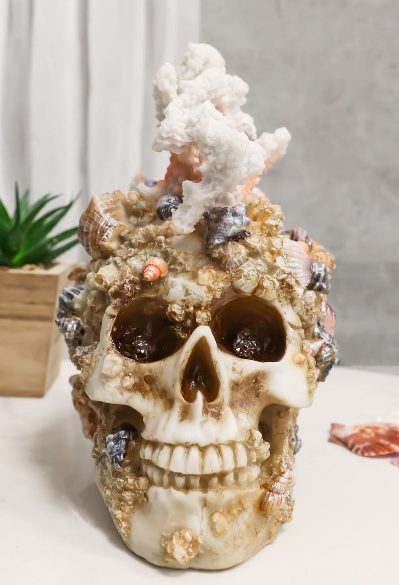 Marine Sea Explorer The Great Barrier Coral Reef Shells And Rocks Skull Figurine